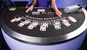 8bets net